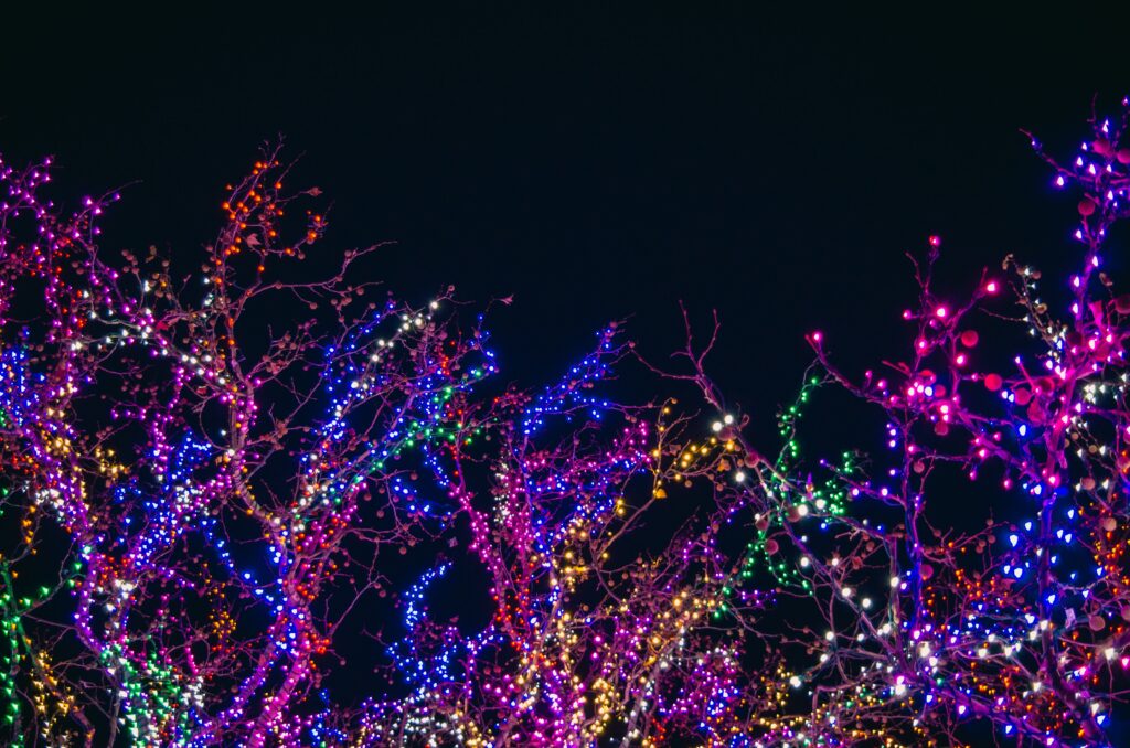 Best Christmas Lights in Los Angeles