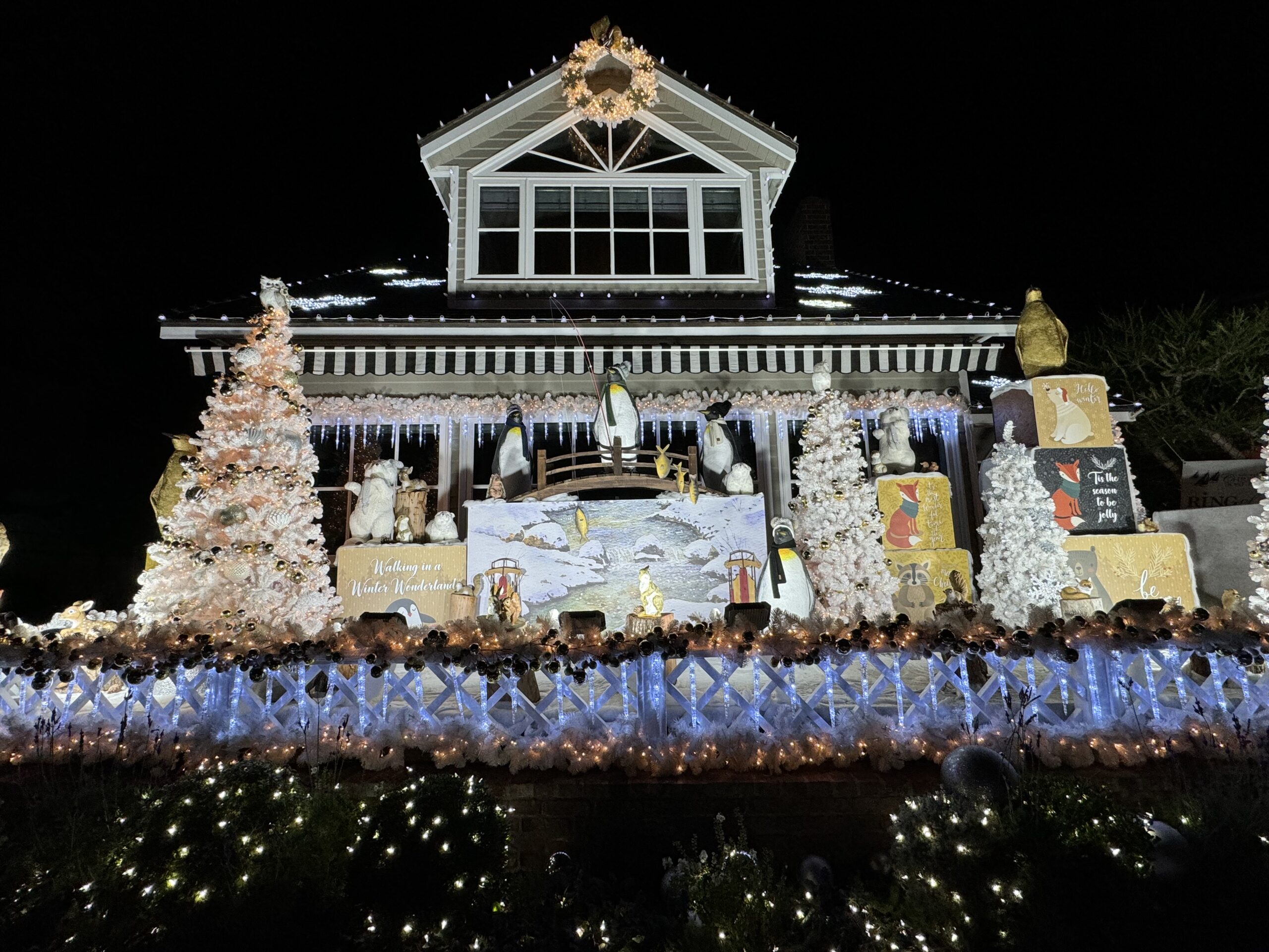 Balboa Island, Newport Beach Christmas Lights 2024 Family Kids Fun